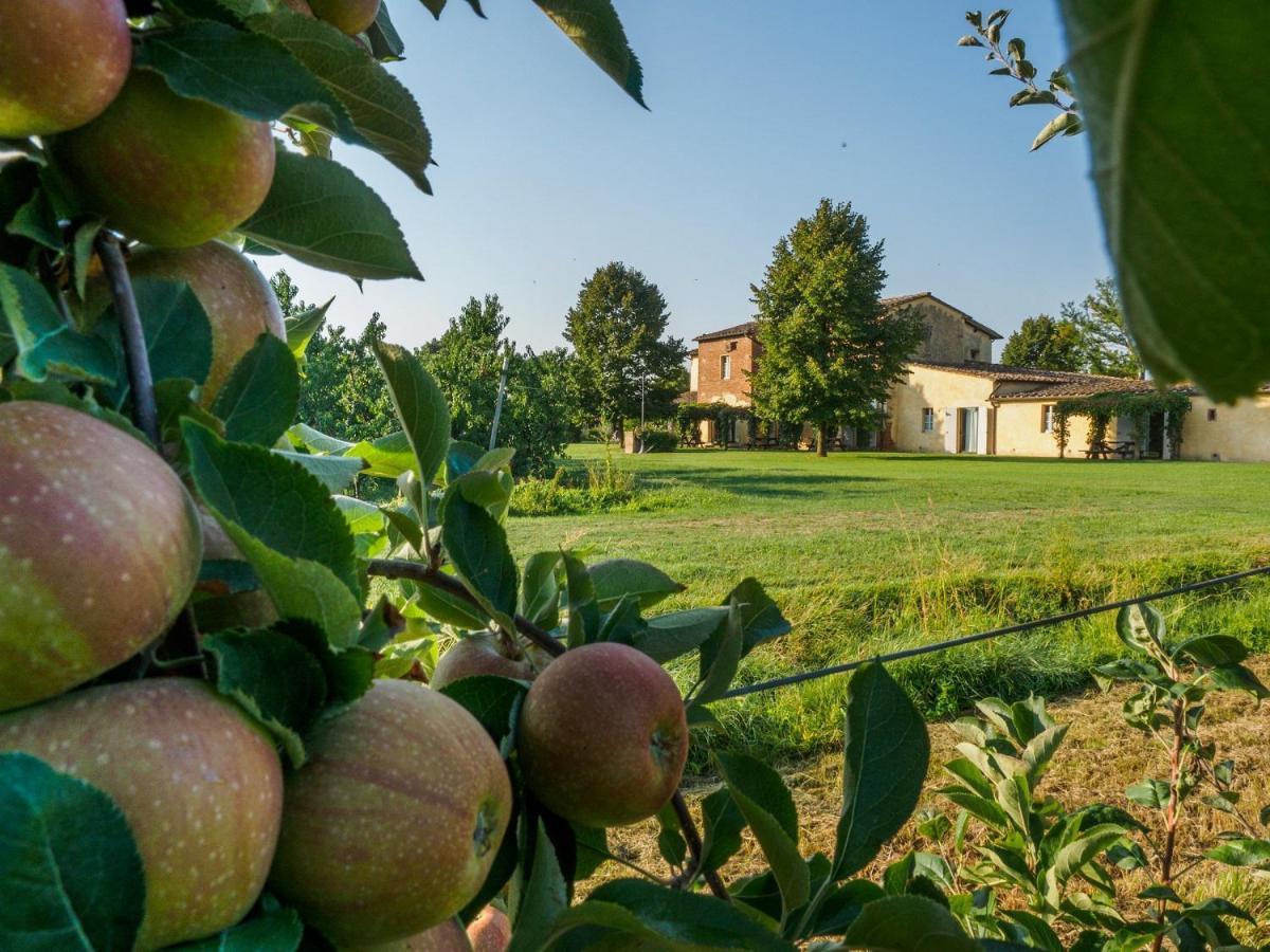 Foresteria Il Giardino Di Fontarronco Alberoro Dış mekan fotoğraf