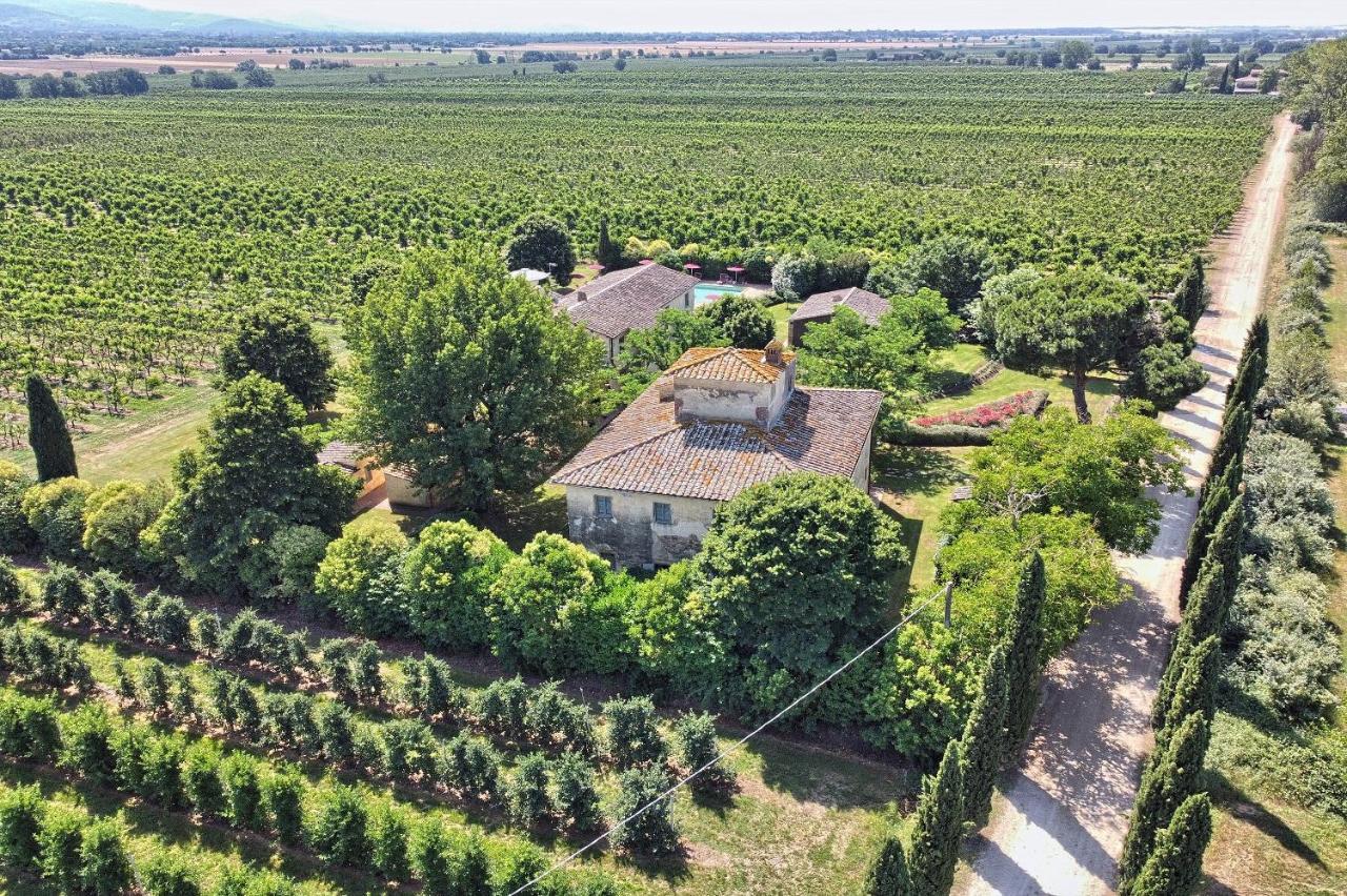 Foresteria Il Giardino Di Fontarronco Alberoro Dış mekan fotoğraf